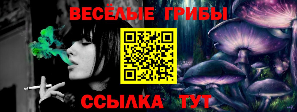 купить наркотики сайты  Псилоцибиновые грибы ЛСД  Вход с VPN  Избербаш  Галлюциногенные грибы Psilocybine cubensis 