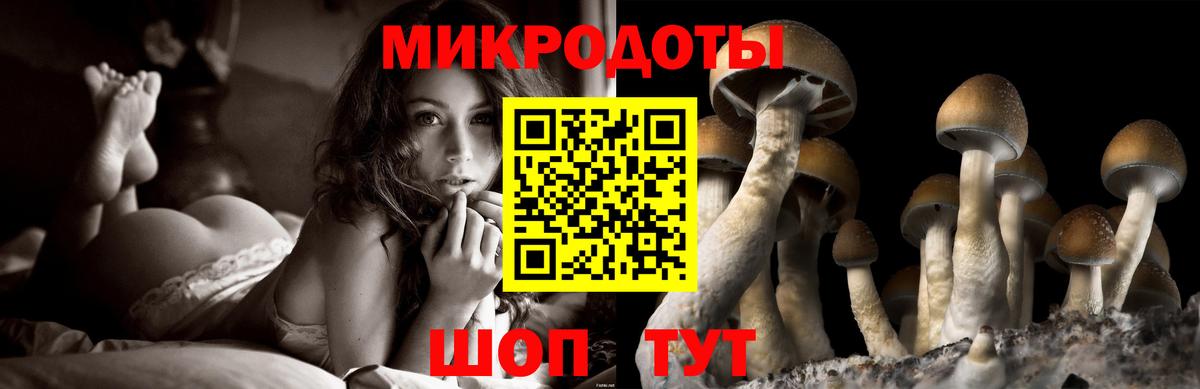 Галлюциногенные грибы Cubensis Избербаш